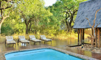 Black Rhino Pool