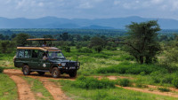 Game Drive