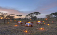 Dinner under the stars