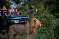 Game Drive