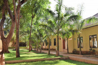 Garden area