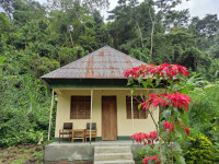 Banda exterior
