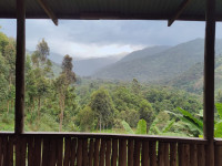 Cabin View 
