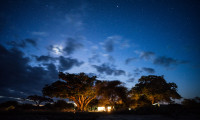 Tarangire View Camp 