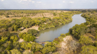 Immerse yourself in the vast beauty of true African wilderness. Fig Tree Bush Camp is situated on the banks of the Shishamba River, an exciting  short drive from its sister camp, Mukambi Lodge. The camp has an elephantine Fig Tree, hence the name, as its centre piece, hanging over the dining Boma.