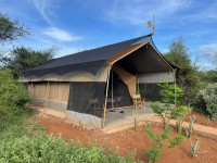 Safari Tent