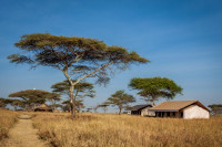 Camp's view