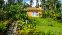 One of our quaint luxury cottages