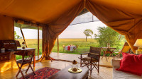 Luxury Honeymoon Tent