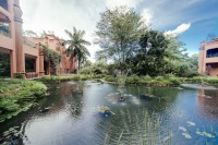 Water Gardens 