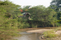 Extremely peaceful place to relax and go back to the wild