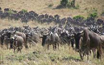 Kenya