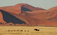 Namibia