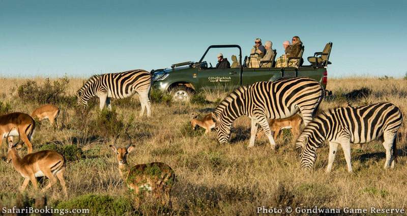 Gondwana Game Reserve