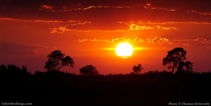Top 10 Best Things To See and Do in Botswana
