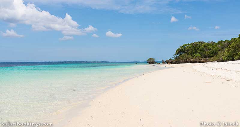 Beach of Pemba Island, Tanzania