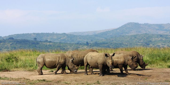 Why Visit South Africa in the Winter Season (May to September)