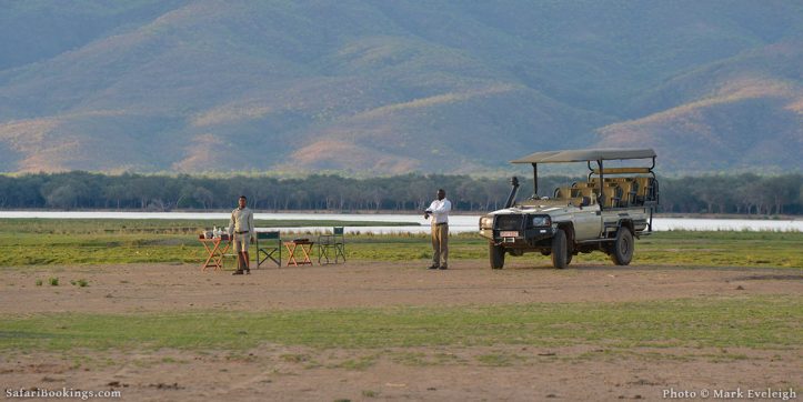 The Impact of the Coronavirus Pandemic on the Safari Industry