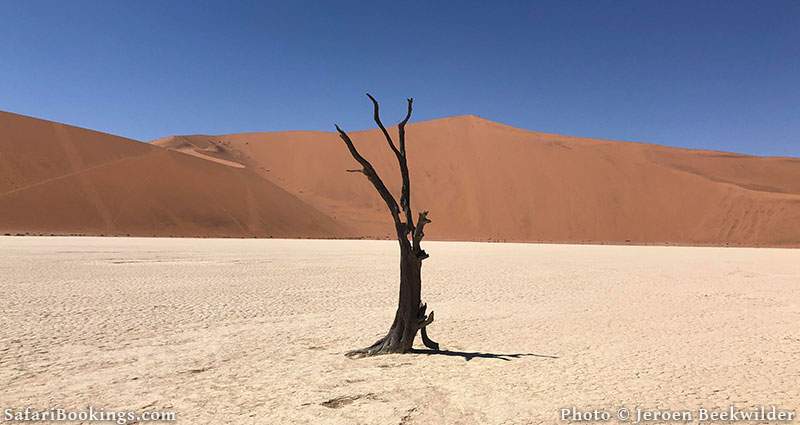 Deadvlei, Namibia