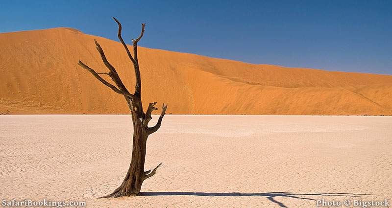 Dead Vlei in Namib Naukluft National Park in Namibia 
