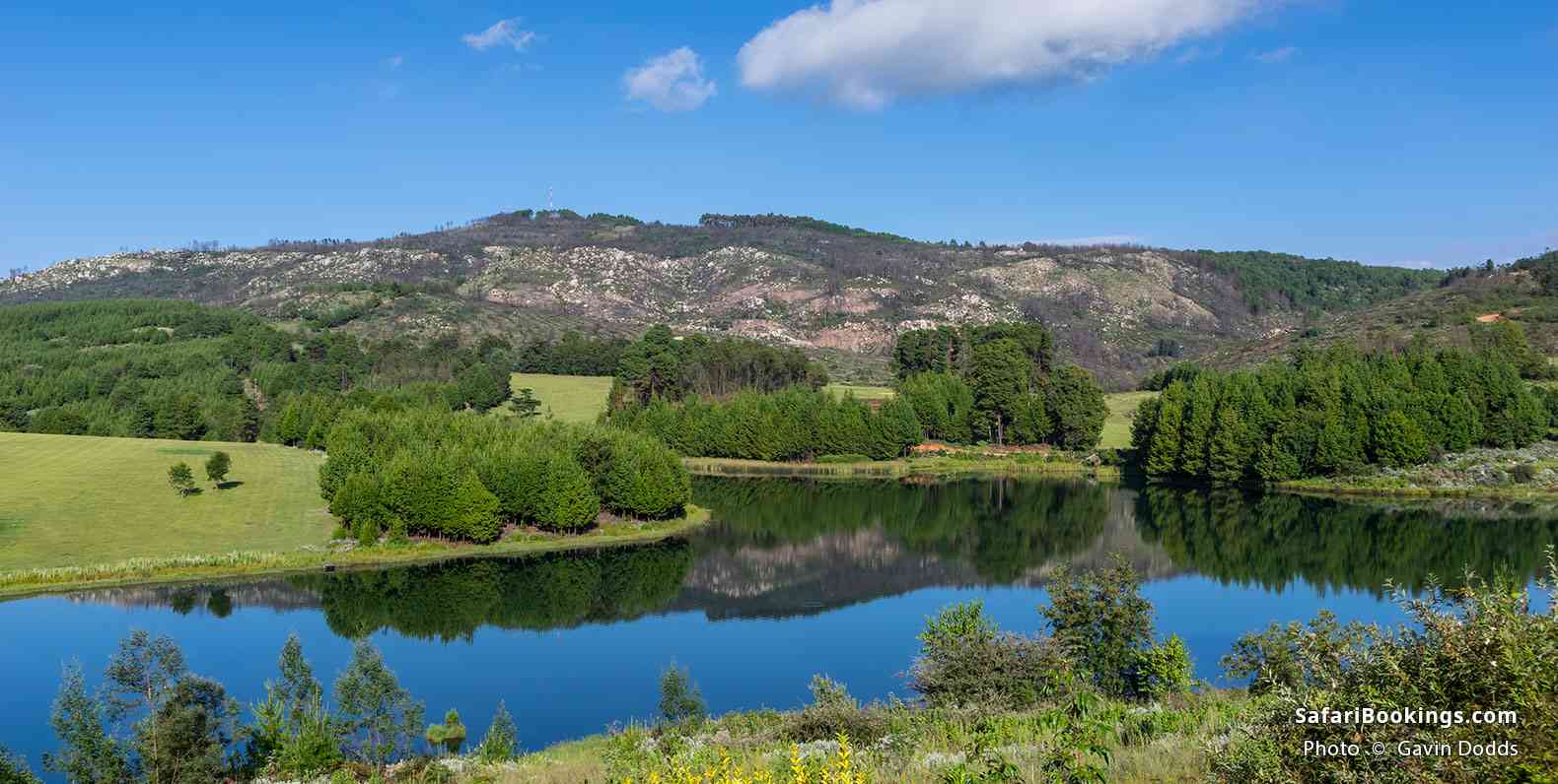 Lake in Nyanga