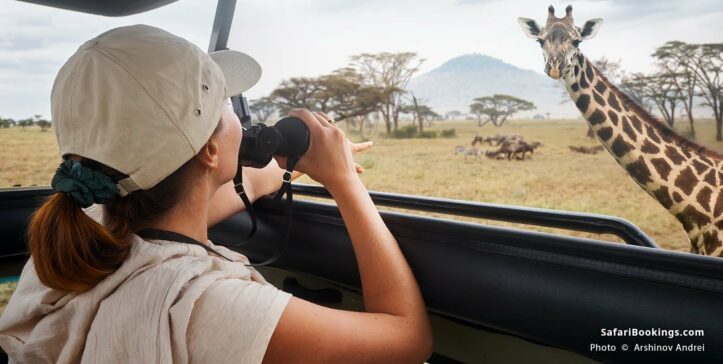 Safari-goer watching a giraffe in Serengeti National Park