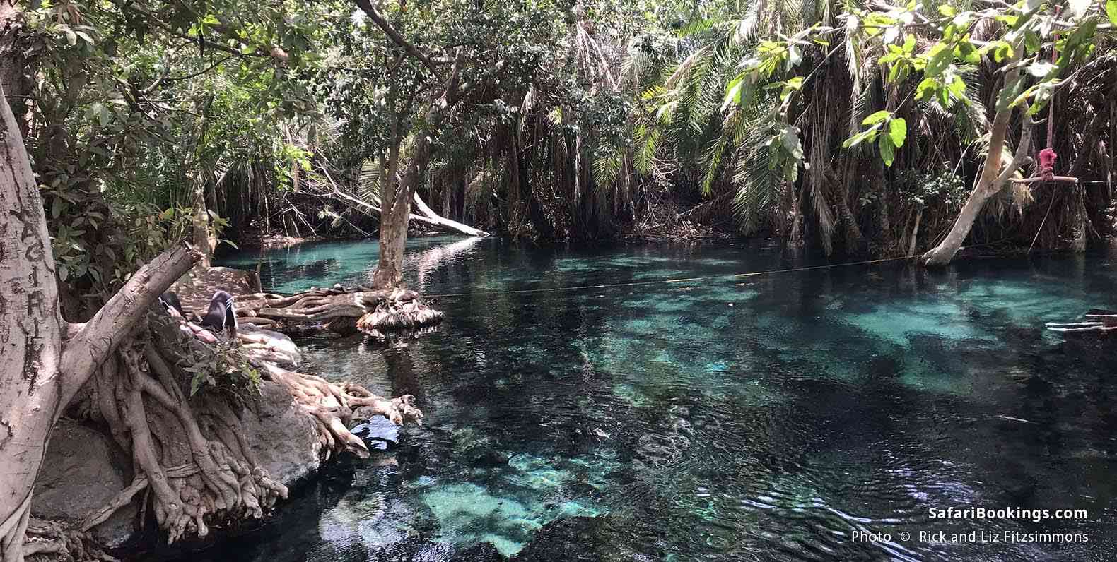 Kikuletwa Hot Springs
