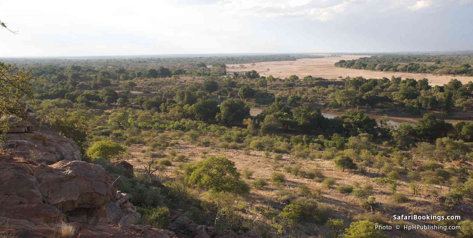 View of the park