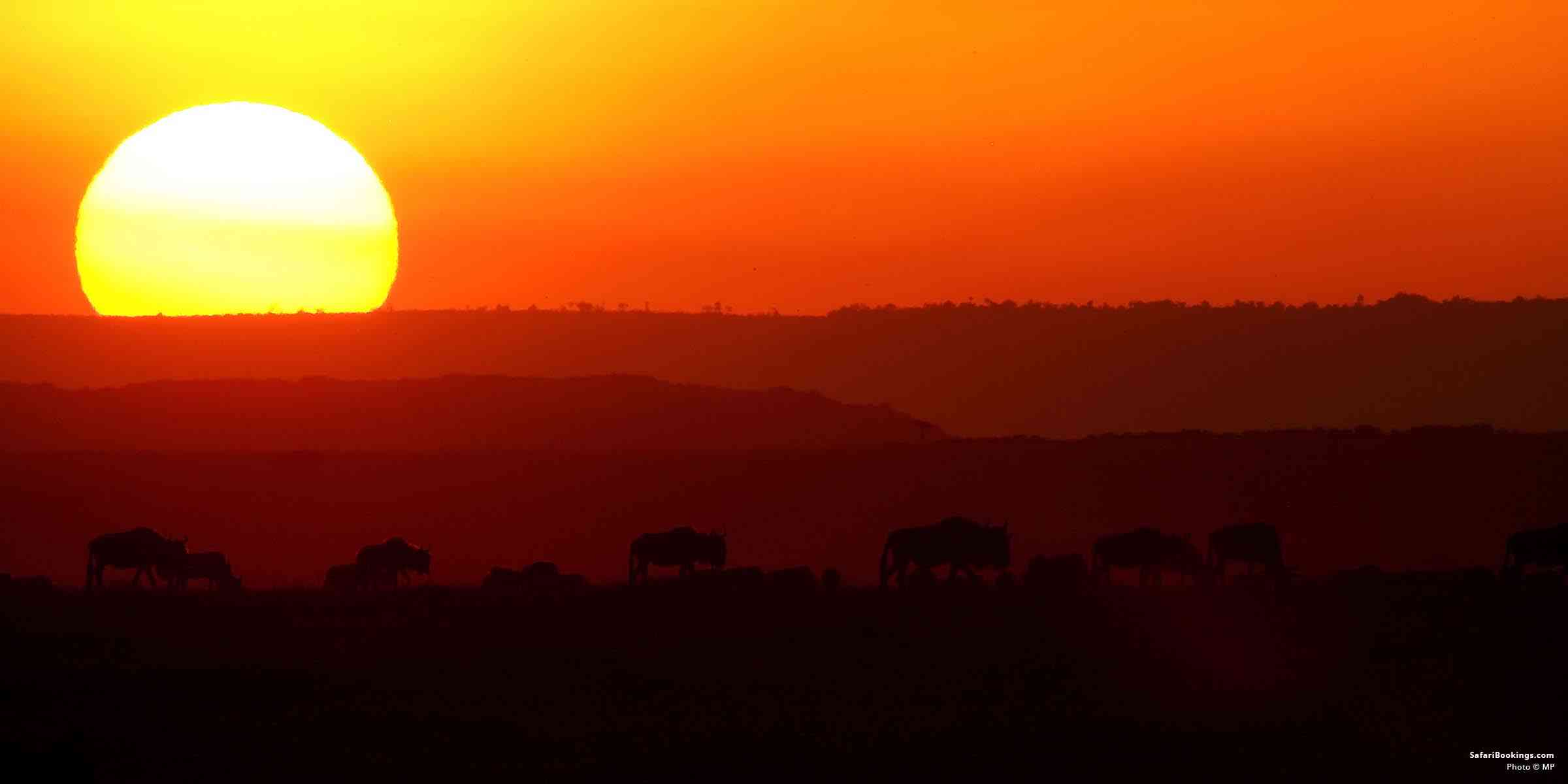 Top 10 Tourist Attractions in Kenya