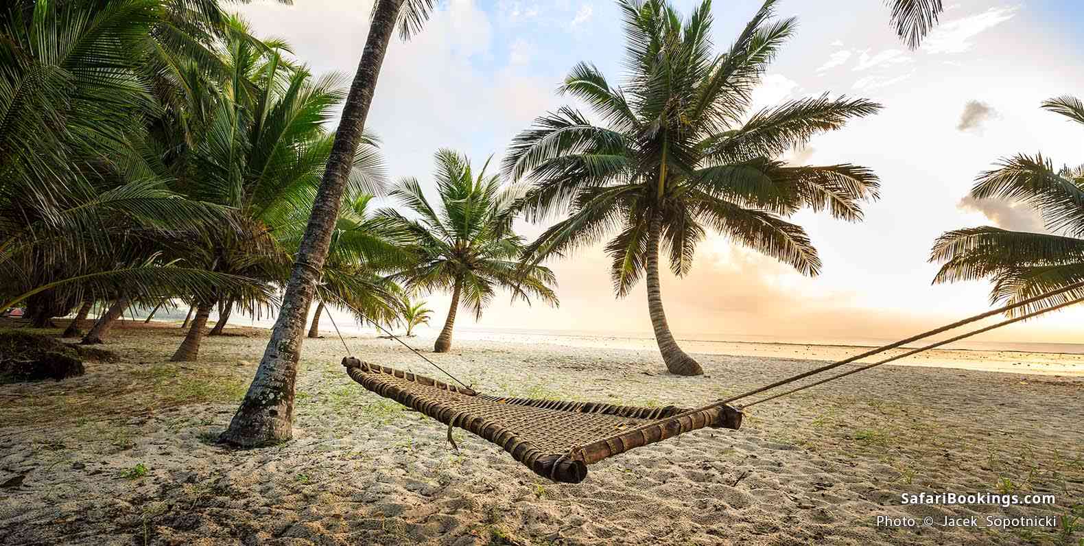 Hammock hanging between the trees at Diani Beach, Kenya