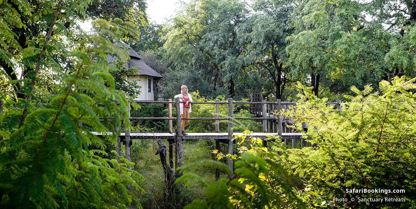 Treehouse with elevated wooden walkway