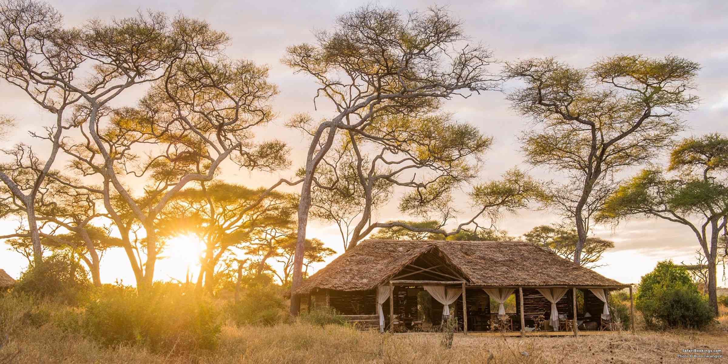 Top 10 Best Tarangire National Park Safari Camps & Lodges