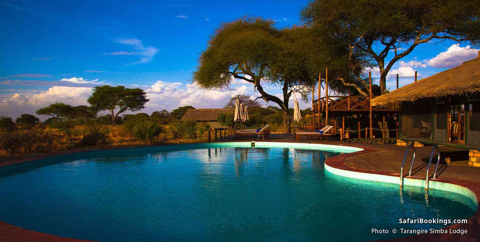 Tarangire Simba Lodge