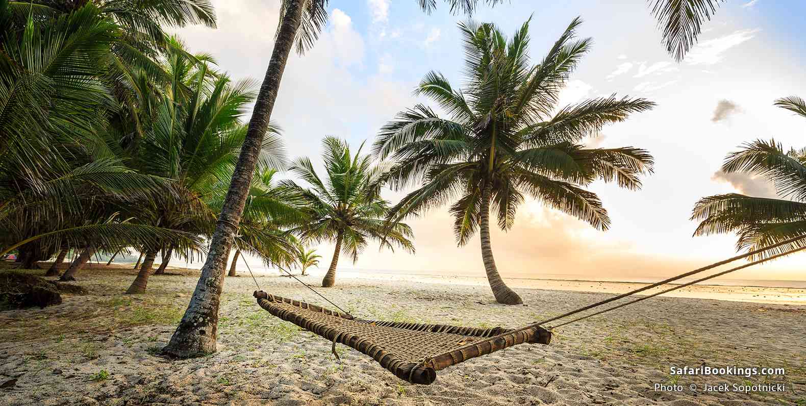 Hammock hanging between palm trees, Diani Beach