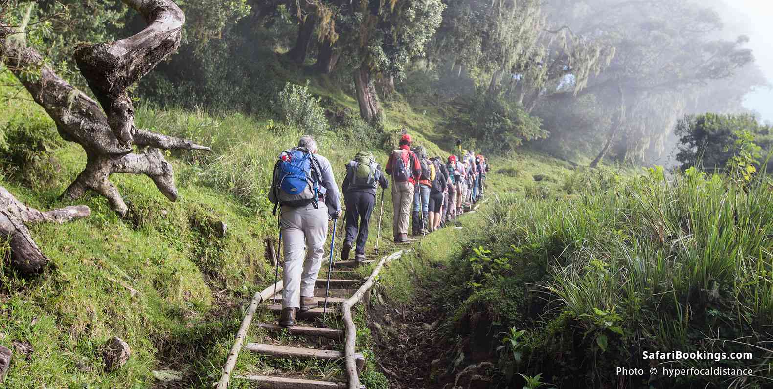 Ascent to Saddle Hut