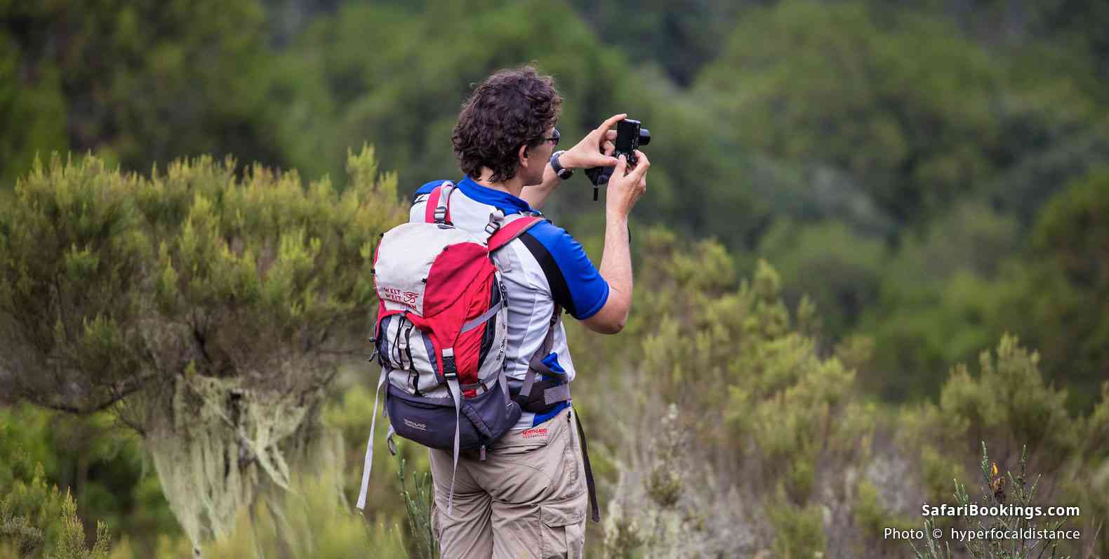 Hiker on Mt Meru