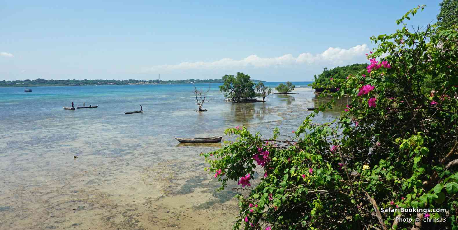 Boats on the water, Wasini Island