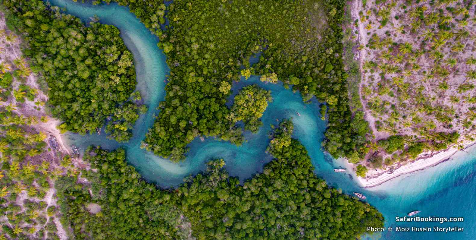 Mangrove swamp at Kanga Beach on Mafia Island