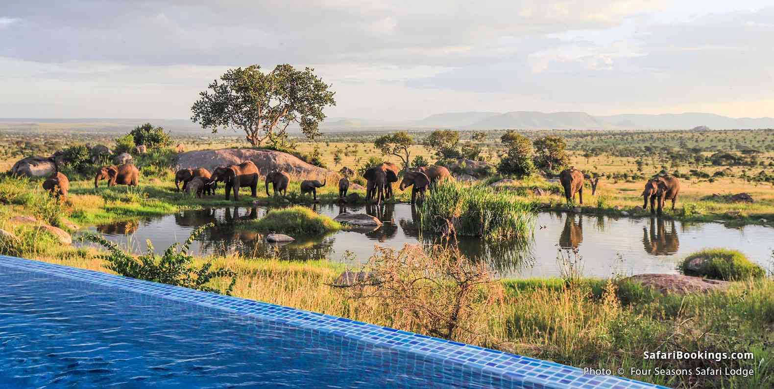 Four Seasons Safari Lodge