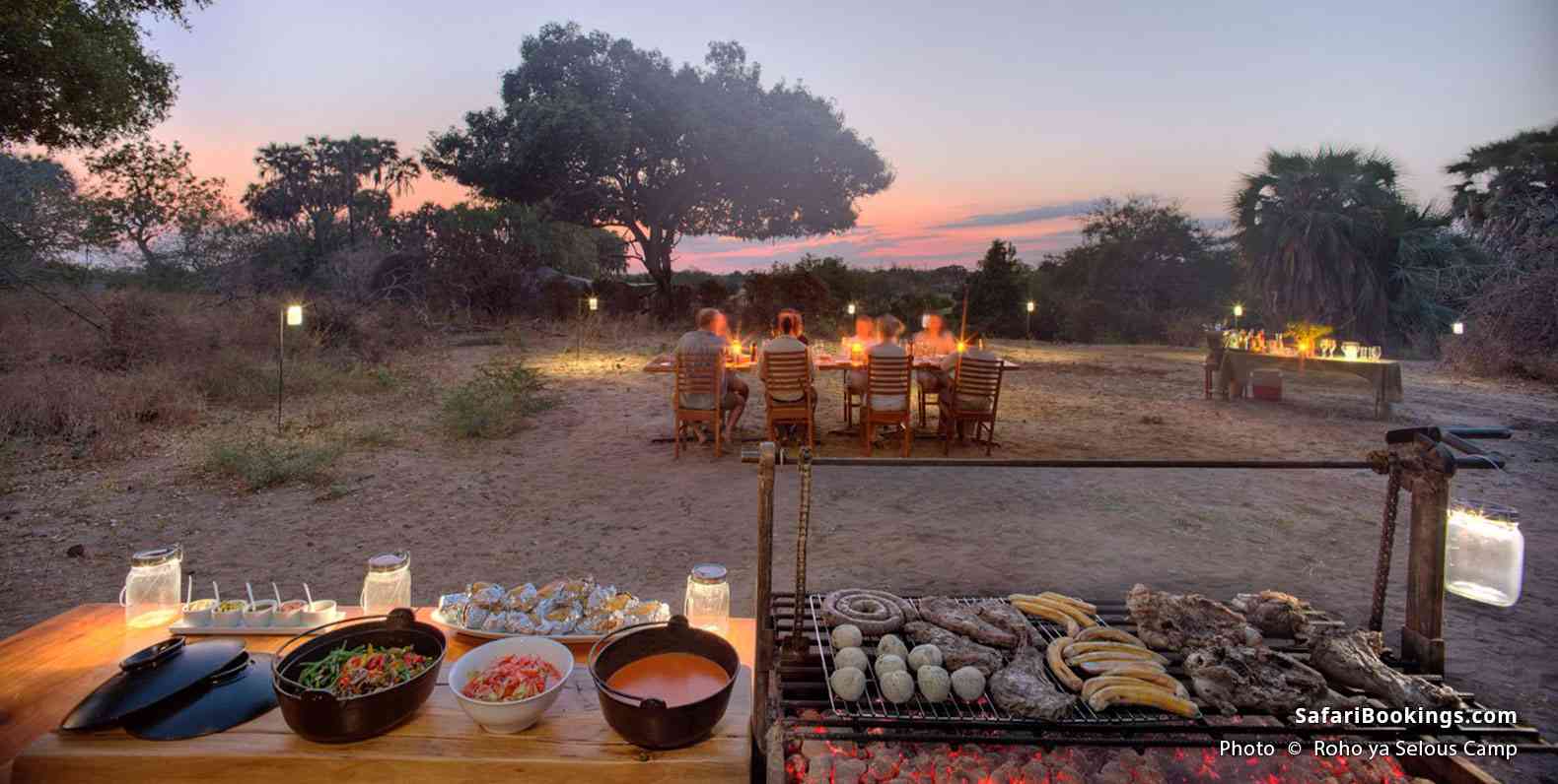 Roho ya Selous Camp
