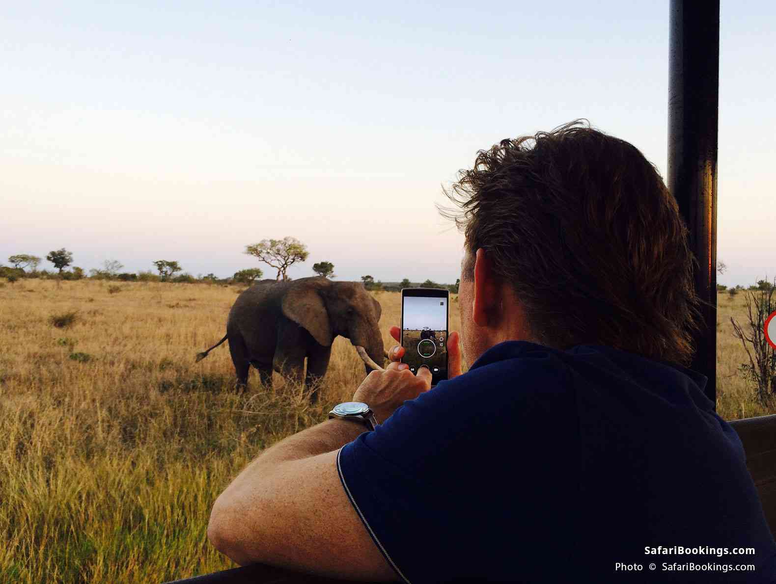 Traveler taking a picture of an elephant on a game drive