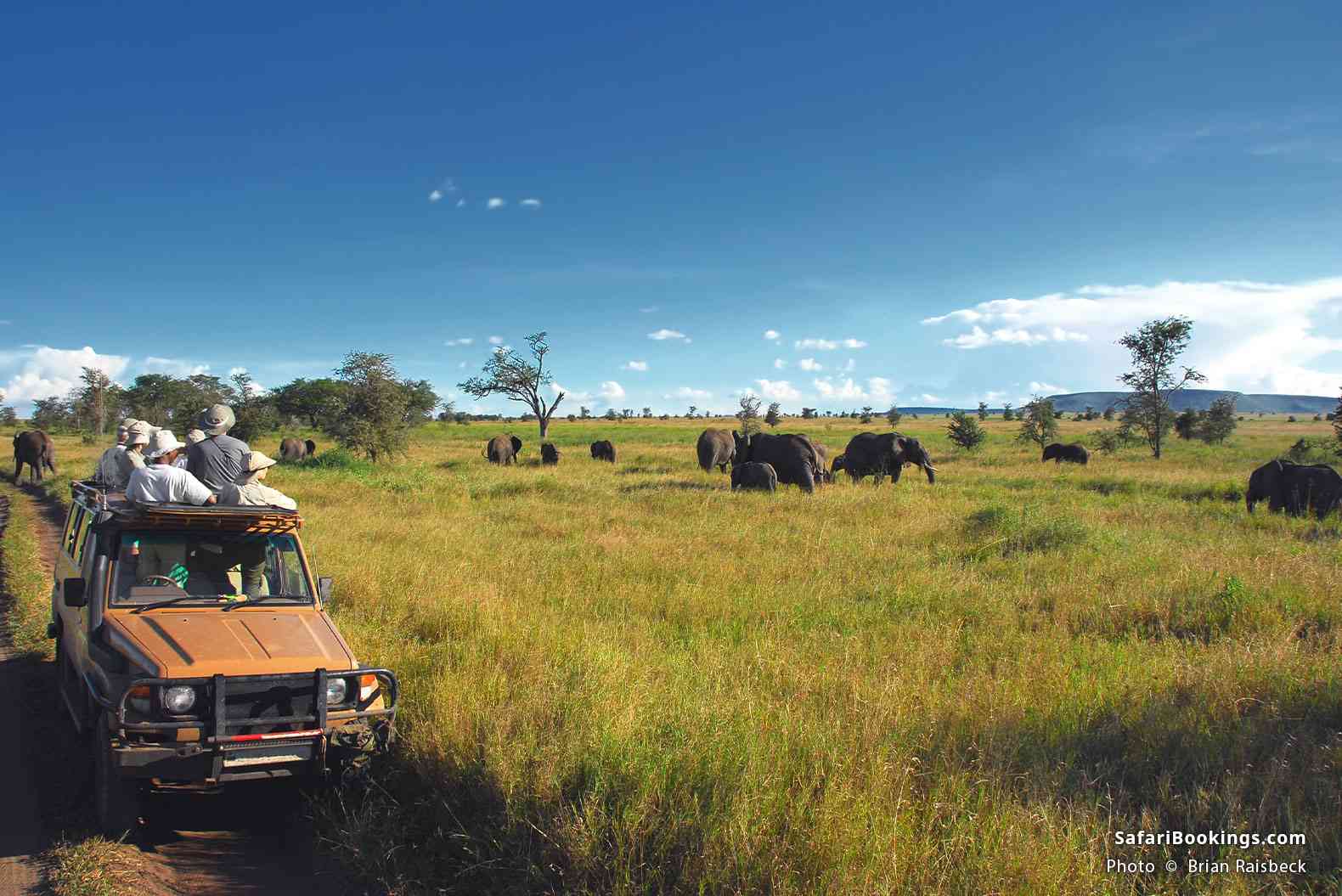 Travelers watching elephants in Serengeti National Park