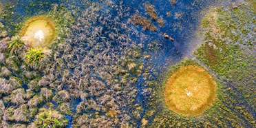 Top Rated Safari Tour Operators: Australia & New-Zealand