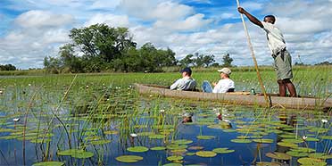 Top Rated Safari Tour Operators: Botswana