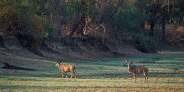 Sioma Ngwezi National Park