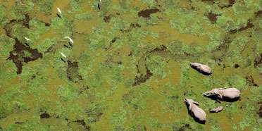 Top Rated Safari Tour Operators: United Kingdom