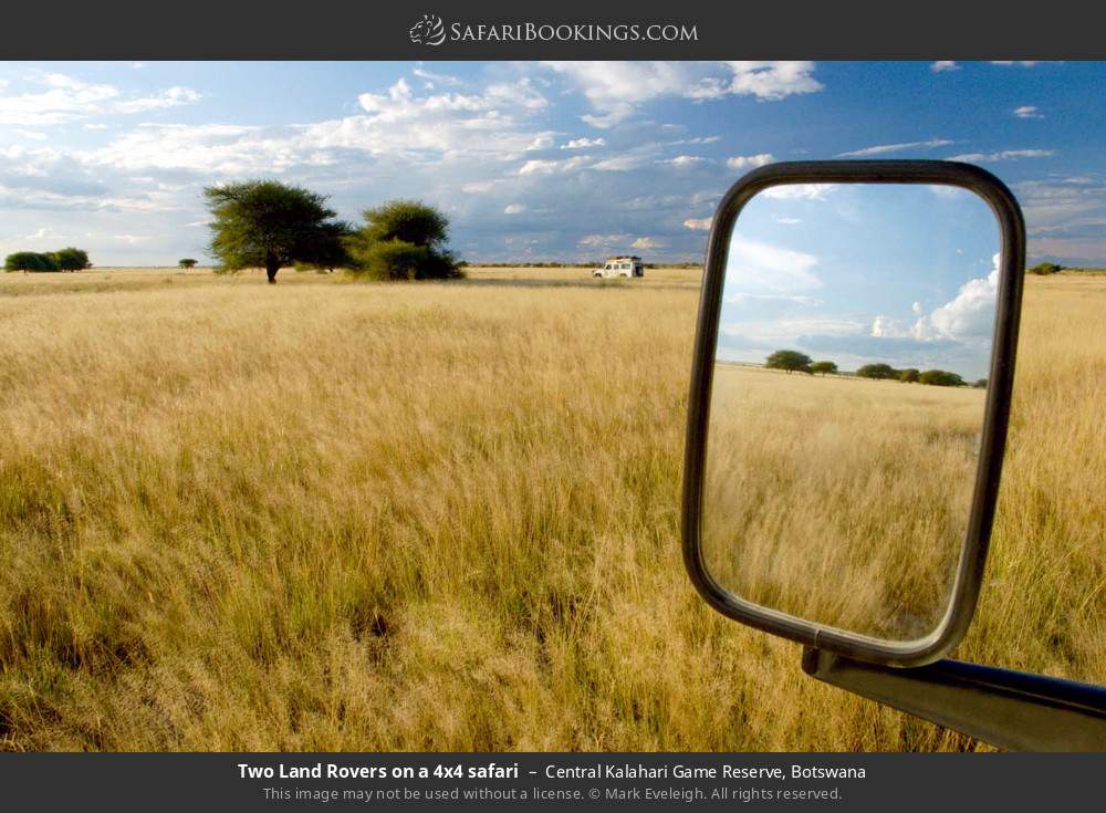 Two Land Rovers on a 4x4 safari in Central Kalahari Game Reserve, Botswana