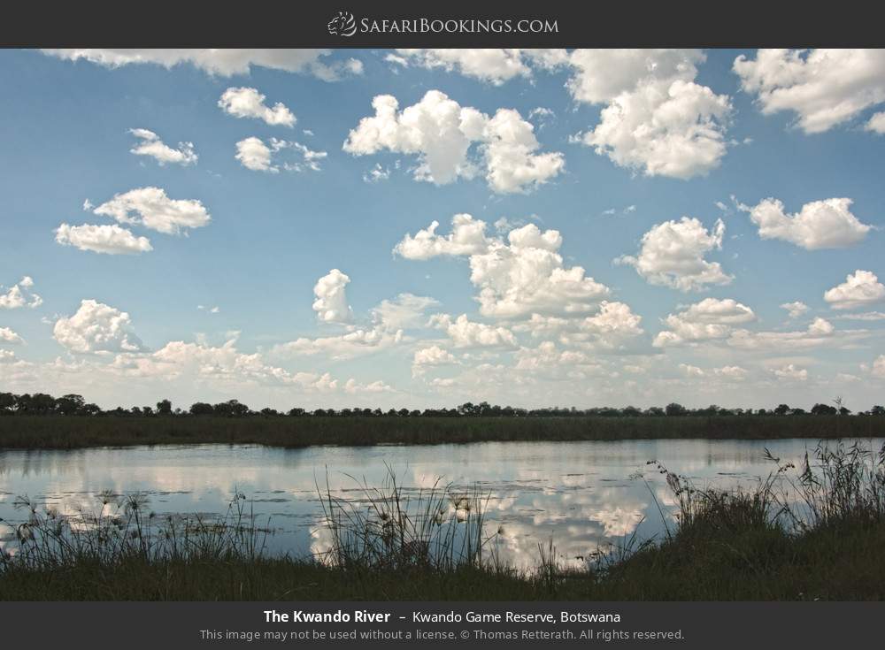 The Kwando River in Kwando Concession, Botswana