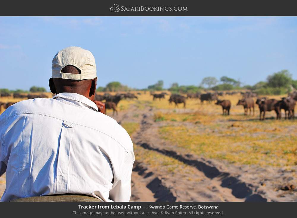 Tracker from Lebala Camp in Kwando Concession, Botswana