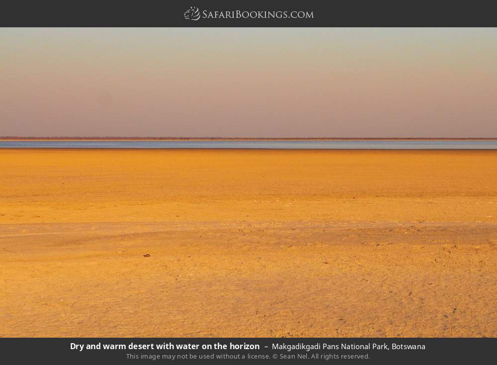 Dry, warm desert with water on the horizon in Makgadikgadi Pans National Park, Botswana